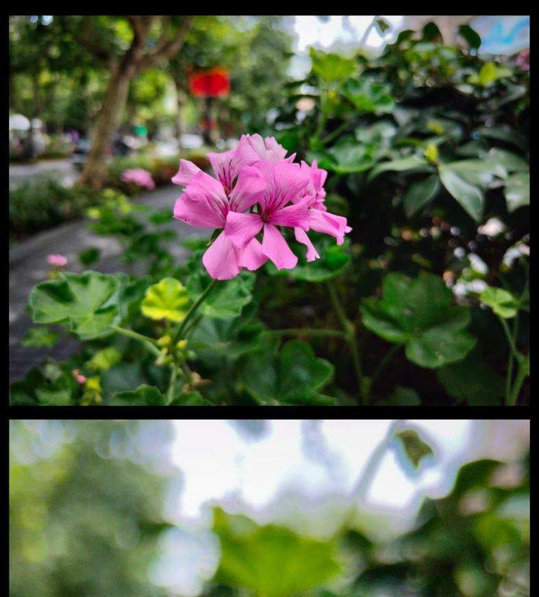 真我GT大师探索版:这可能是realme最具“惊喜感”的产品