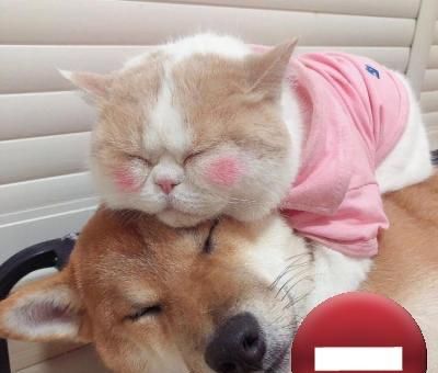 别再羡慕QQ了，微信也能实时显示用户状态，可选择多种状态