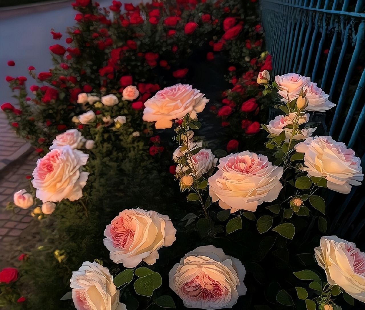 Wechat背景图该换新啦 ​​​