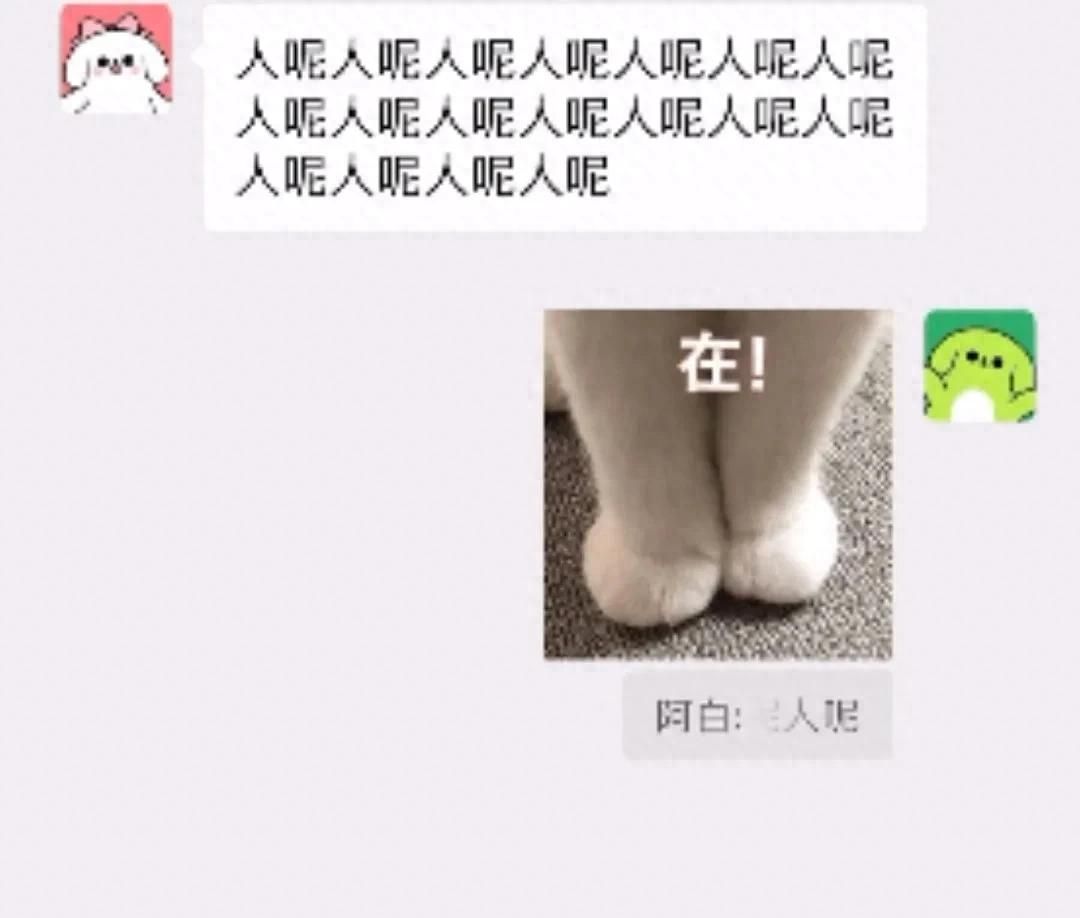 微信聊天能”划重点”了！刚上线用过的都说方便 - 鹿快