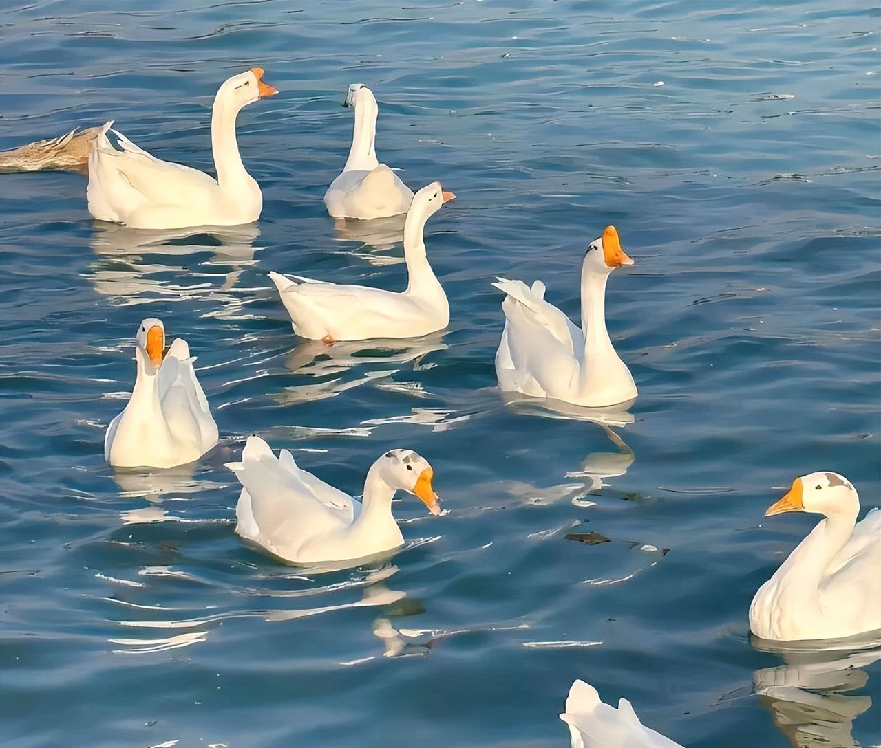 Wechat背景图该换新啦 ​​​