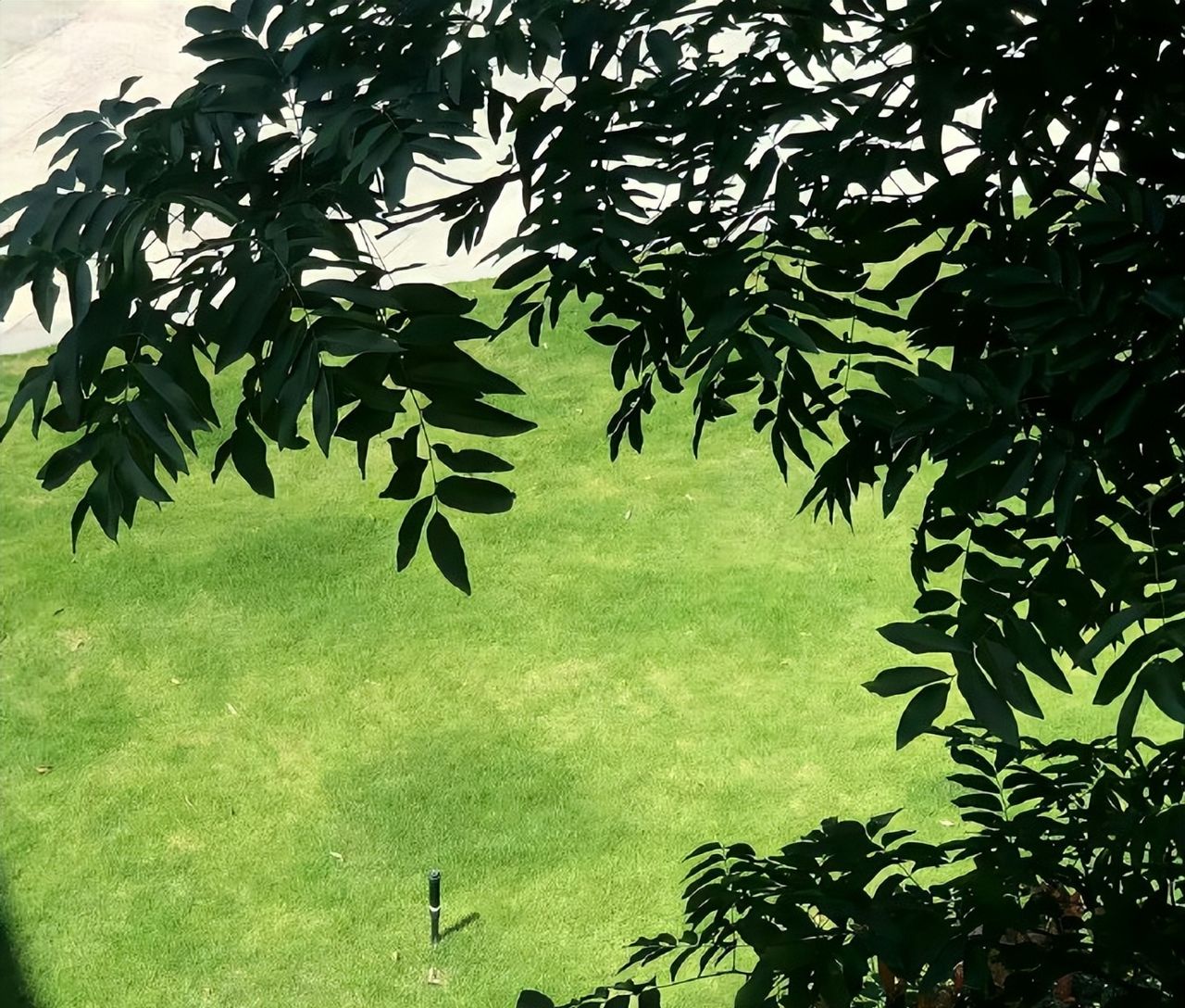 Wechat背景图该换新啦 ​​​