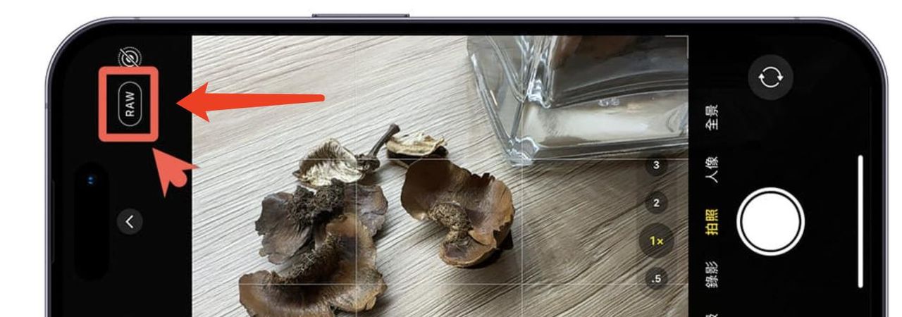iPhone 14 Pro 开启4800万像素的设置与拍摄技巧