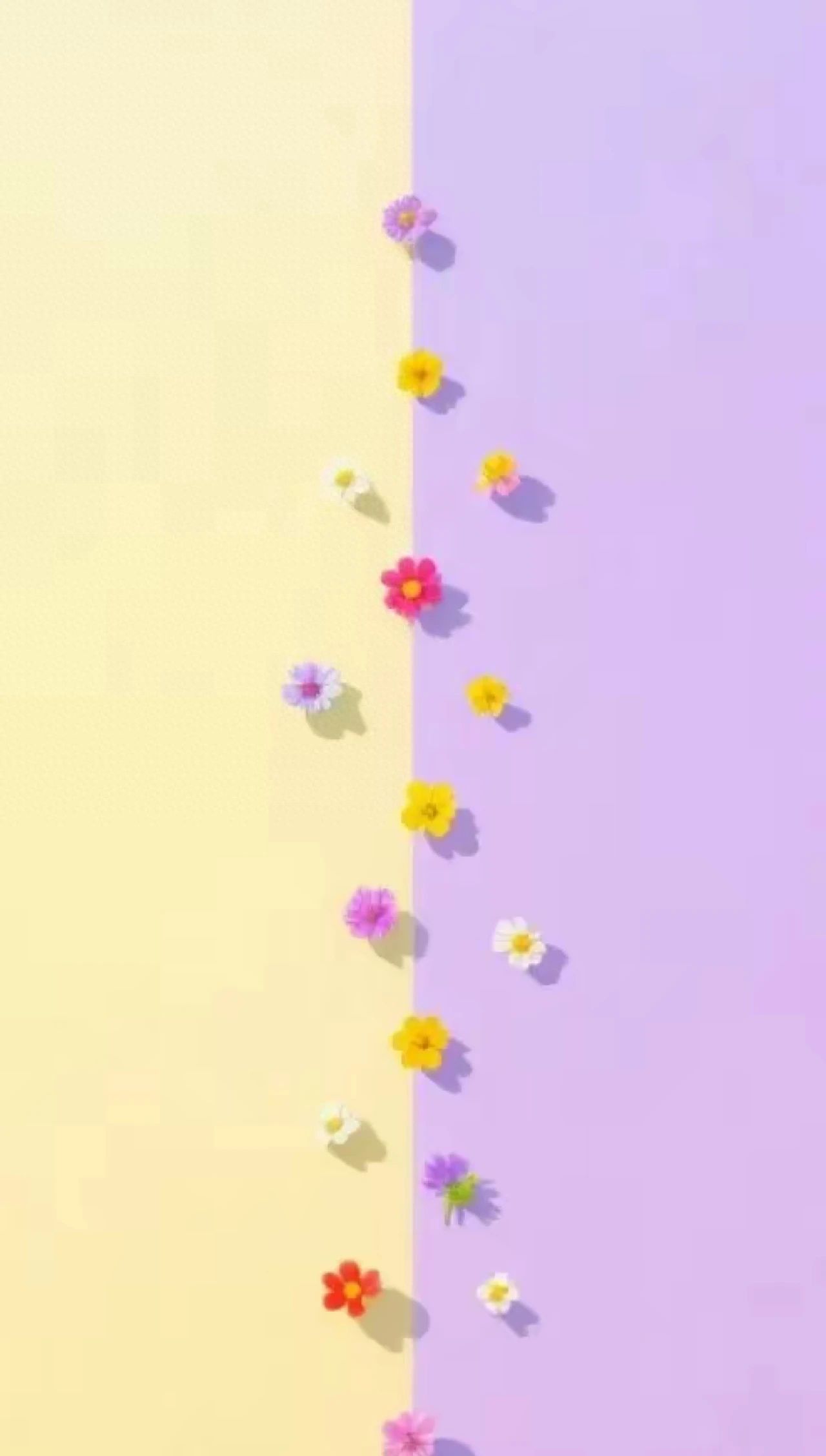 聊天背景图｜简约干净 极度舒适 - 鹿快