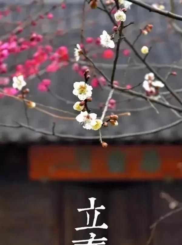 亲，耳熟能详的微信，你了解吗？
