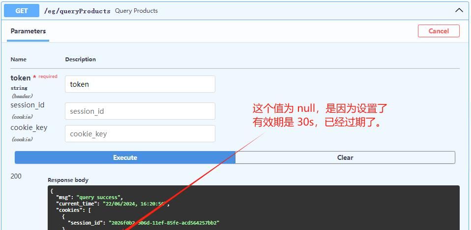 🚀[Python] FastAPI基础：解锁 Cookie 的用法🚀