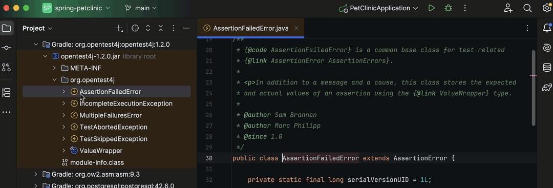 IntelliJ IDEA 2025 正式发布!Java 24 支持、AI 重大更新!