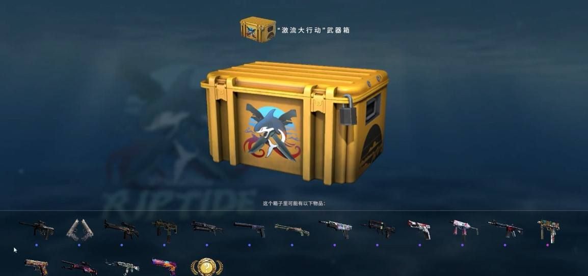 CSGO的大行动是什么？