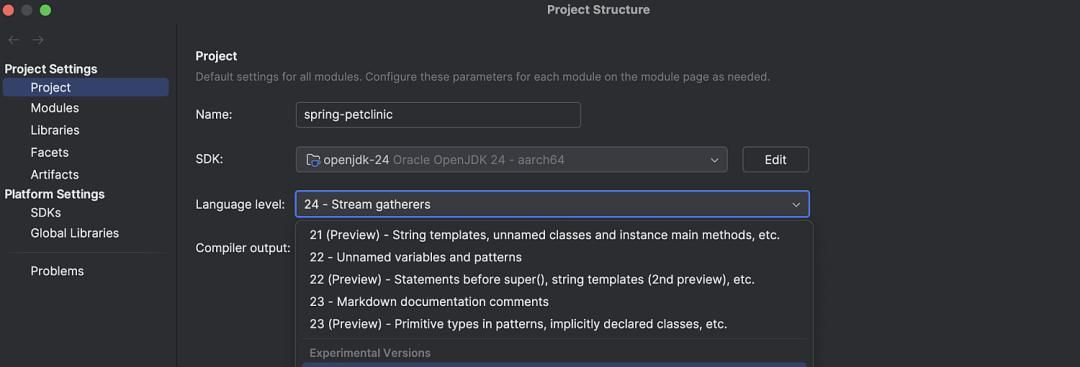 IntelliJ IDEA 2025 正式发布!Java 24 支持、AI 重大更新!