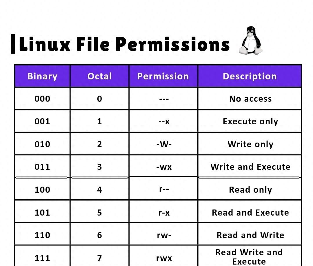 Linux中的文件权限 - 鹿快