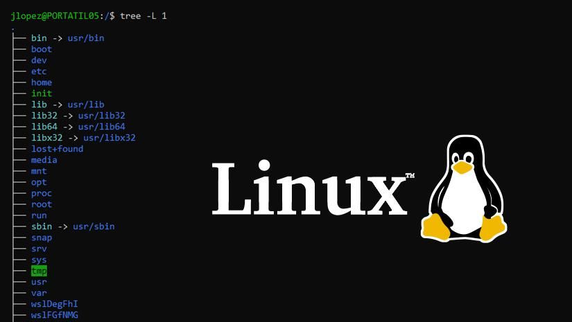 Manjaro Linux 的安装与初始配置
