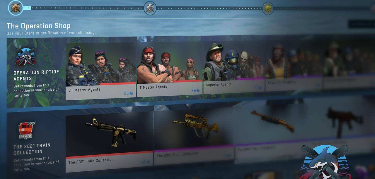 CSGO的大行动是什么？