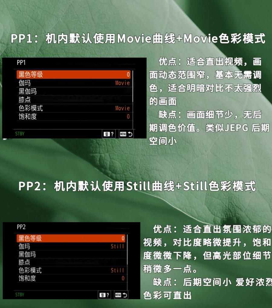 神秘的索尼PP1到PP11是什么?该如何选择PP值?