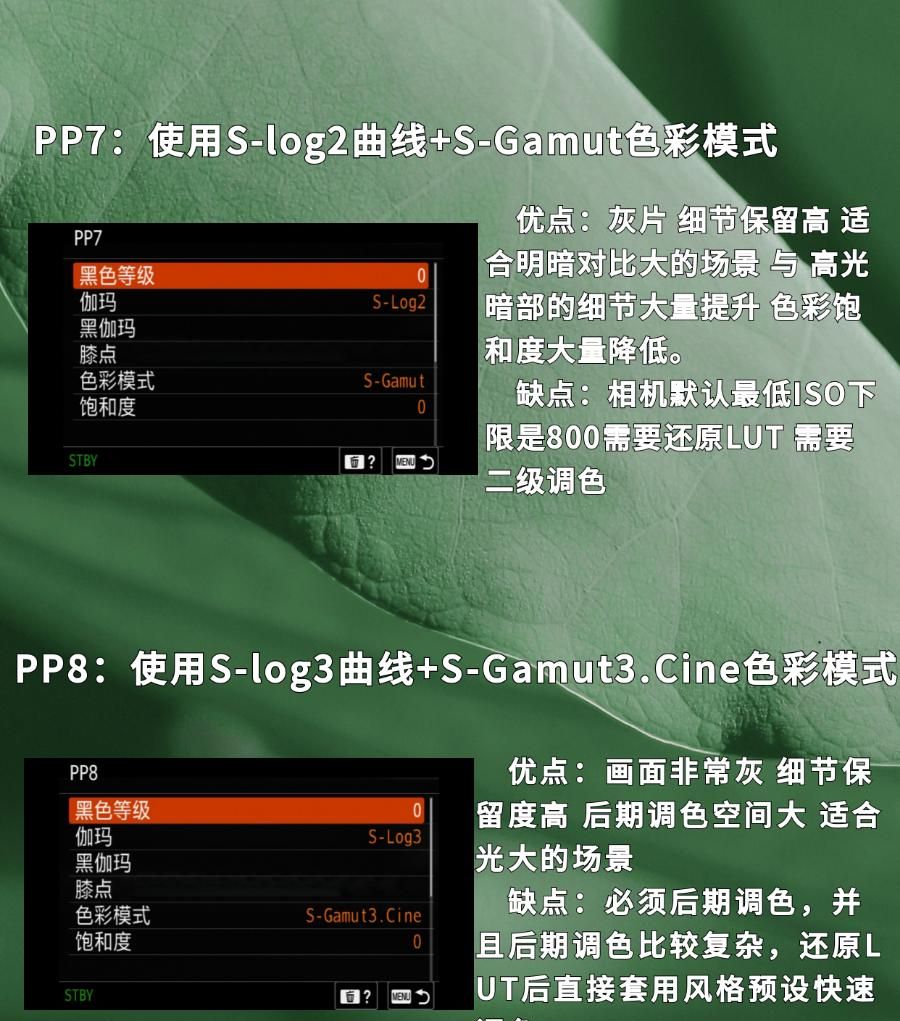 神秘的索尼PP1到PP11是什么?该如何选择PP值?