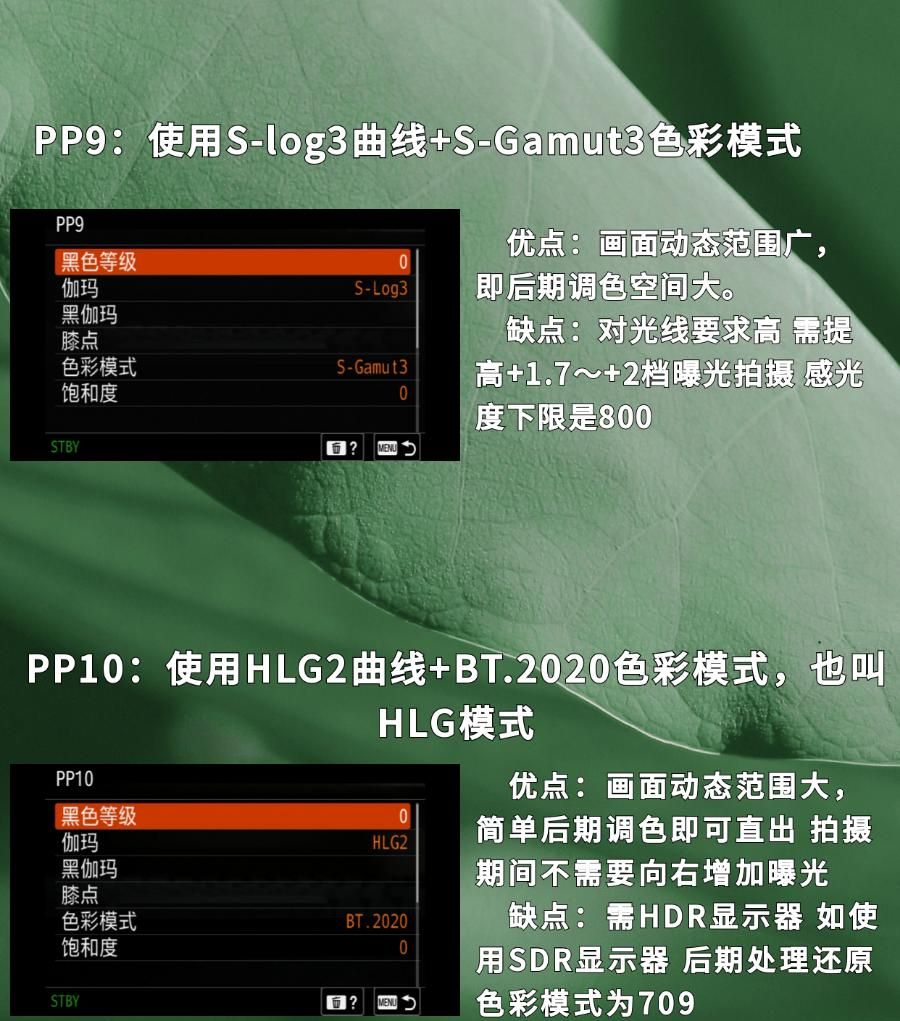 神秘的索尼PP1到PP11是什么?该如何选择PP值?