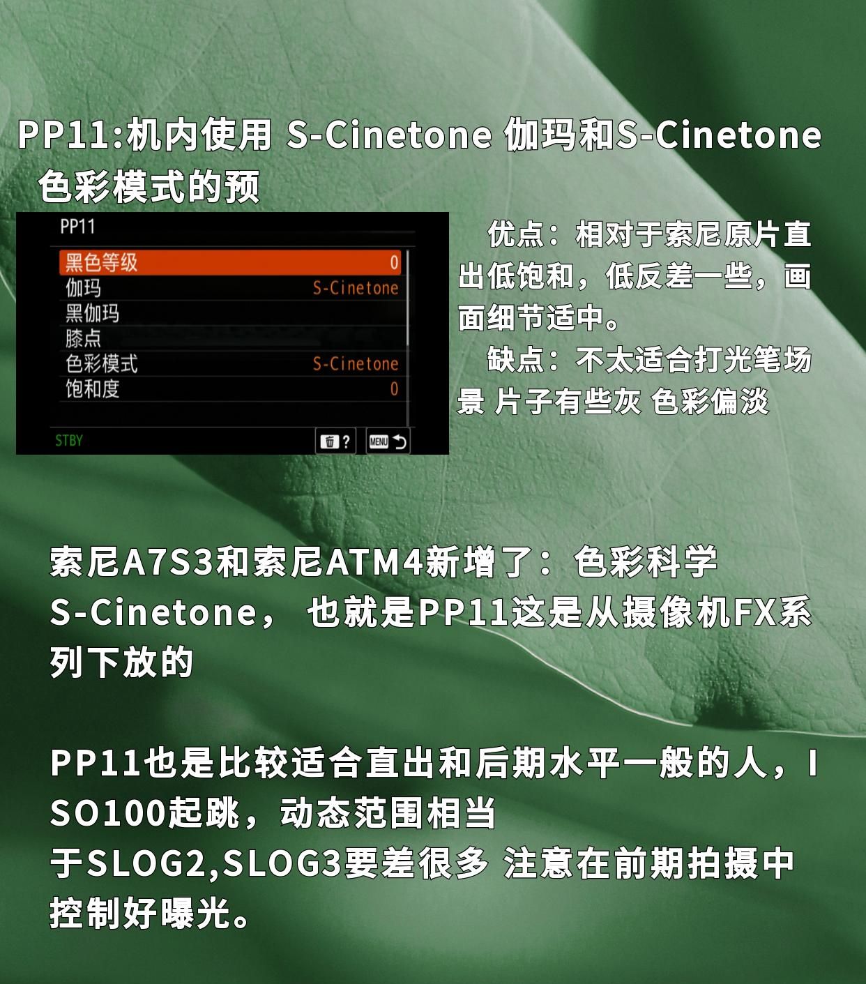 神秘的索尼PP1到PP11是什么?该如何选择PP值?