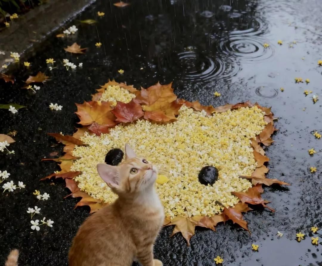 时间不会说谎，它只会让你看清一切！朋友圈⭕背景图