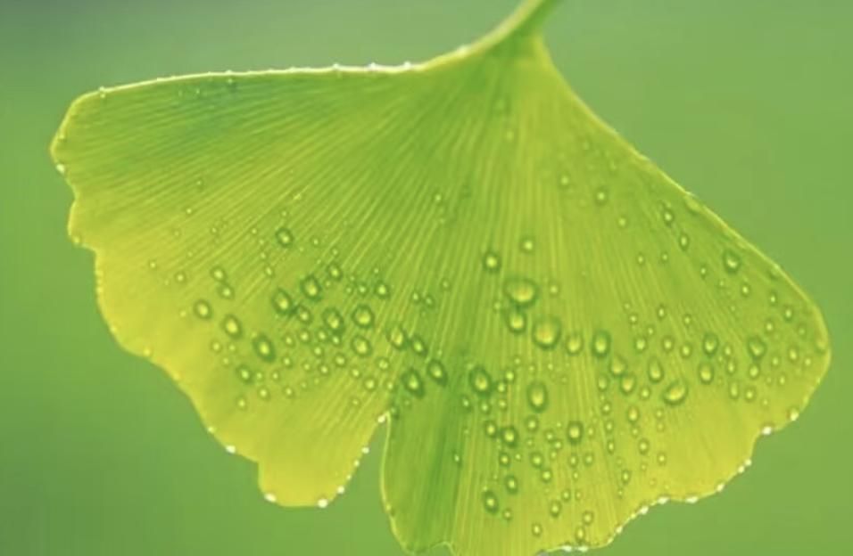 创意微信聊天背景壁纸