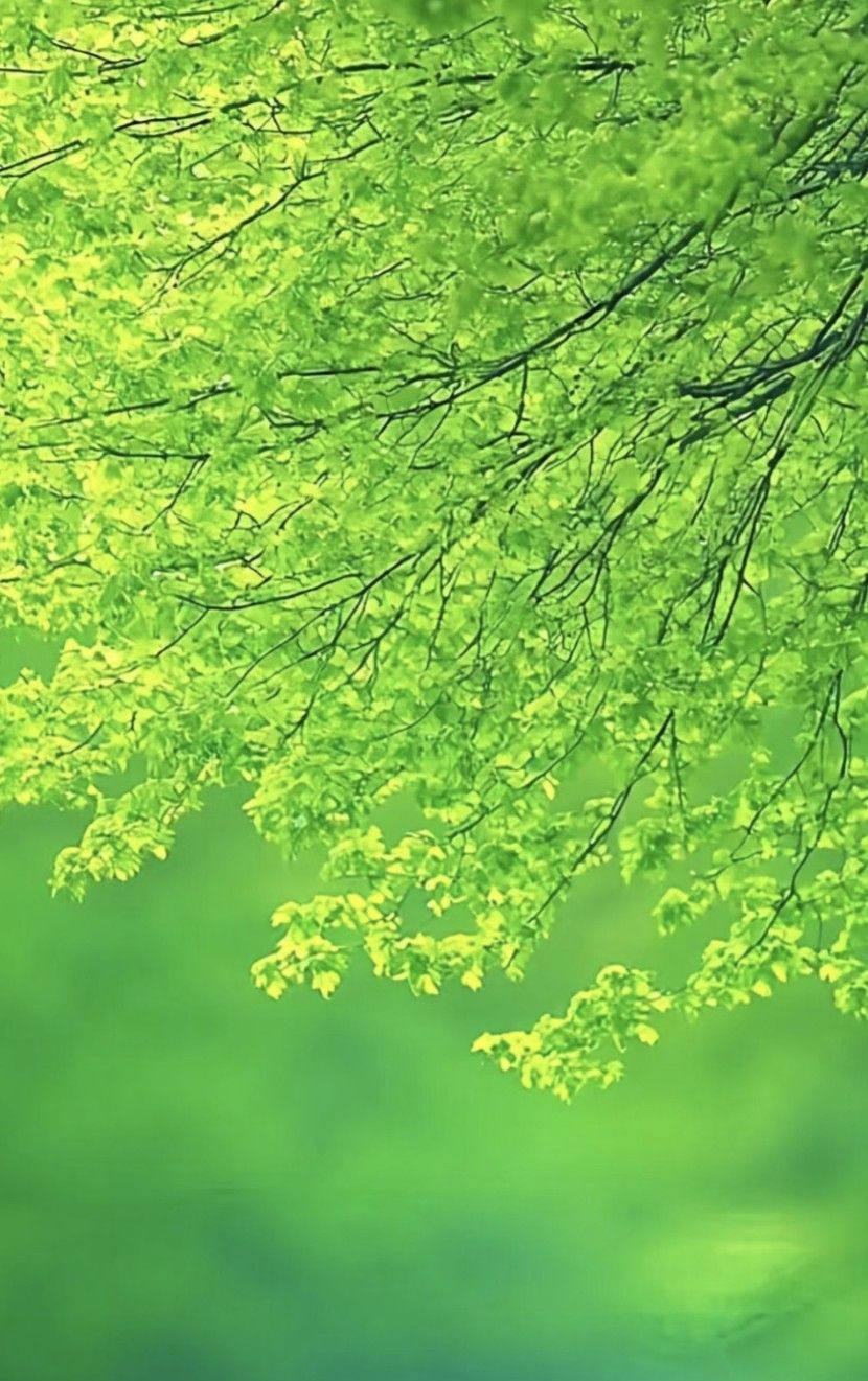 优选微信聊天背景壁纸