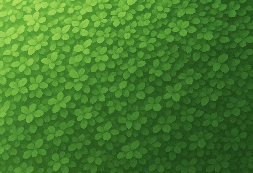 微信聊天背景🍊休闲假日