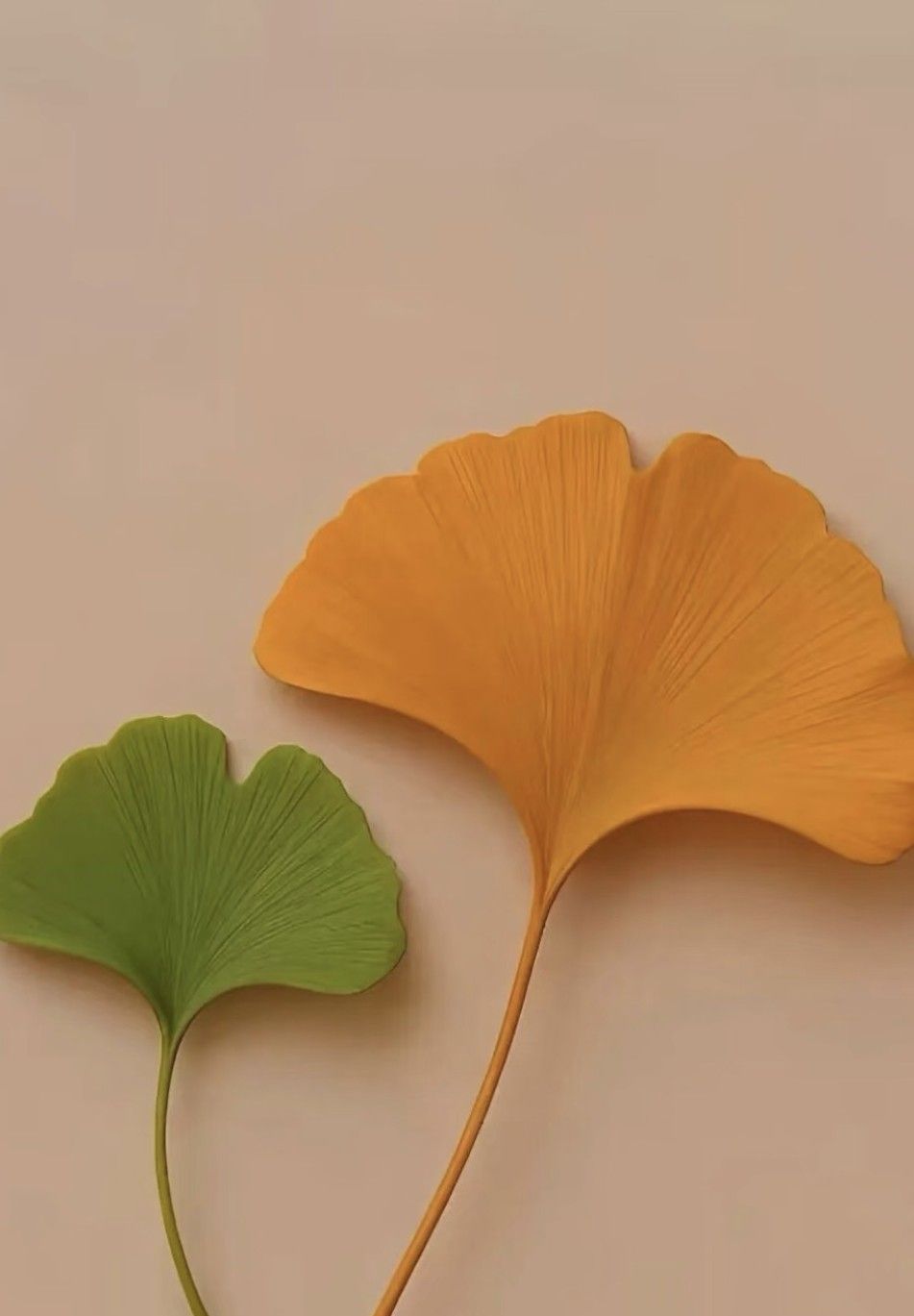 优选微信聊天背景壁纸