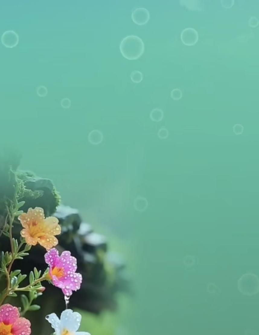 多彩微信聊天背景墙