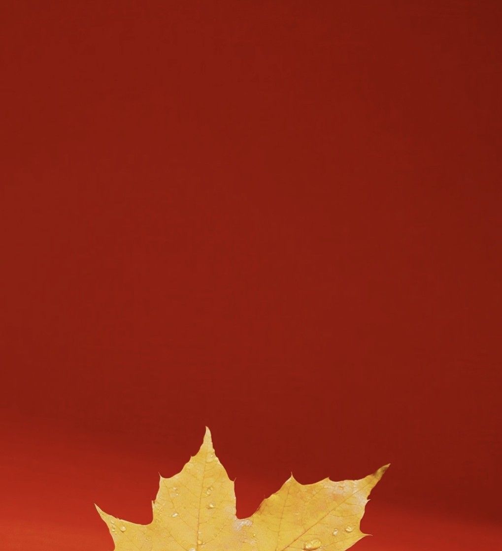 优选微信聊天背景壁纸