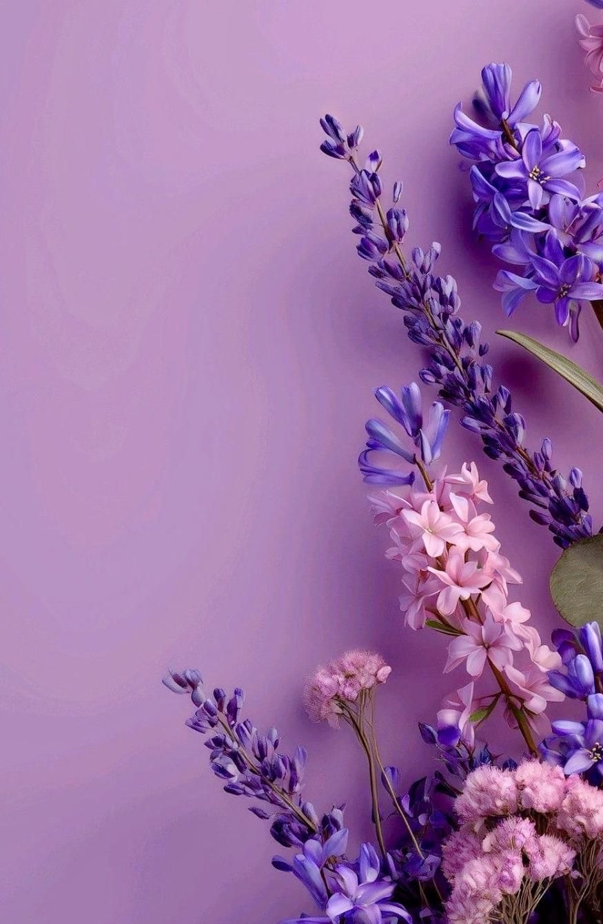 创意微信聊天背景壁纸