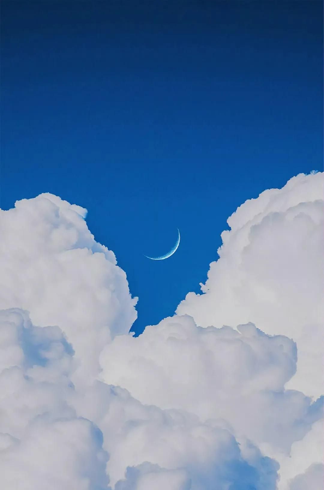 手机壁纸，微信聊天背景图
