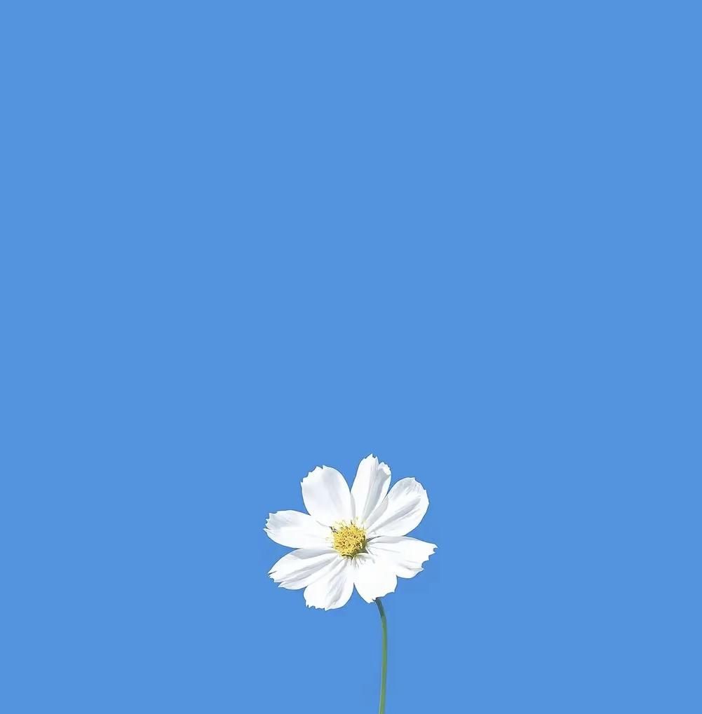 小众微信聊天背景墙