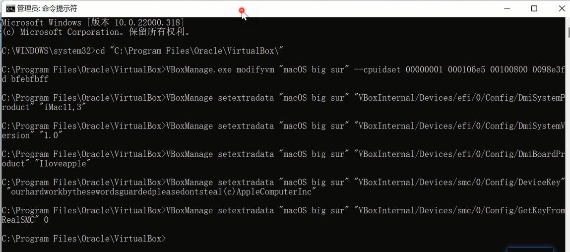 VirtualBox7中安装macOS big sur，在windows10&11上「保姆级教程」