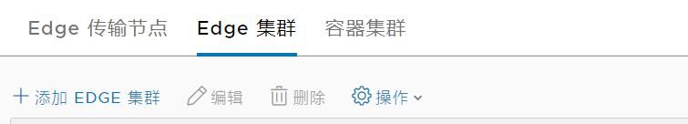 NSX-T4.x系列测试之07 edge节点及集群配置