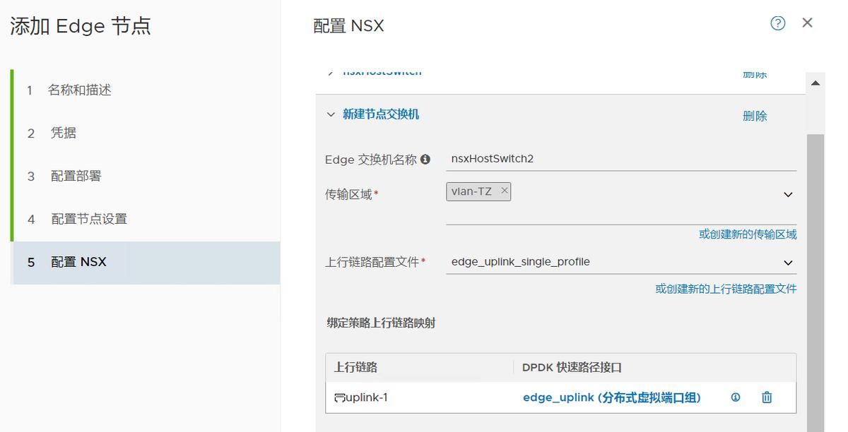 NSX-T4.x系列测试之07 edge节点及集群配置