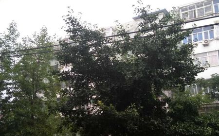 360手机N4S入手评测 一款畅玩两天的千元机