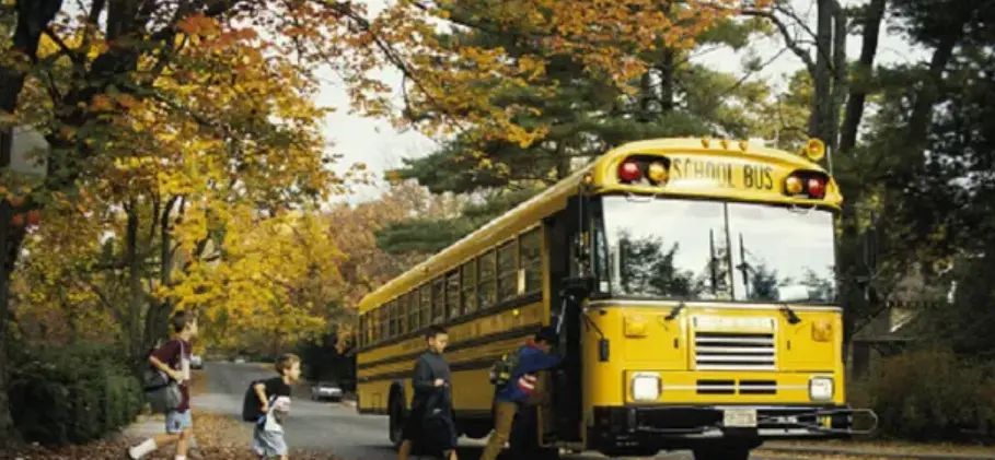 孩子坐校车应该关注的12个问题-12 Questions to Ask About Your Child’s School Bus Ride - 鹿快