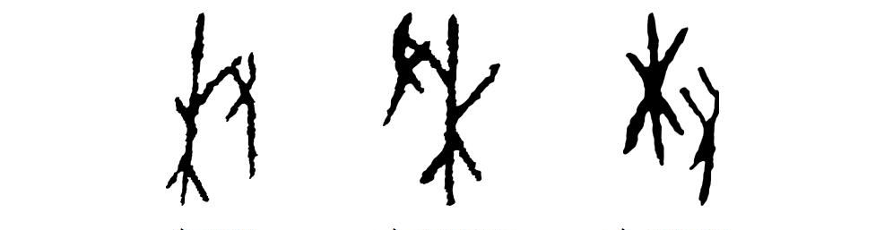 甲骨文识字一一栽、树
