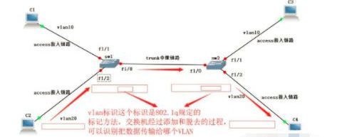 VLAN的划分和网络的配置实例