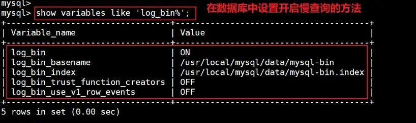 MySQL 高级(进阶)SQL 语句