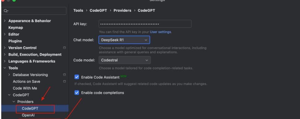 IDEA 也可以接入 DeepSeek，YYDS