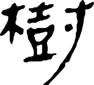 甲骨文识字一一栽、树
