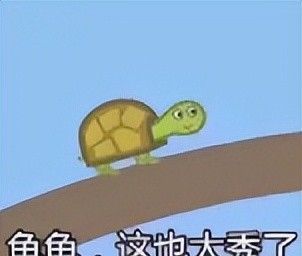 真令人头秃！这里有你不知道的日本最潮加密语