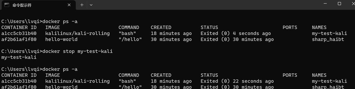 Docker新手教程《一》