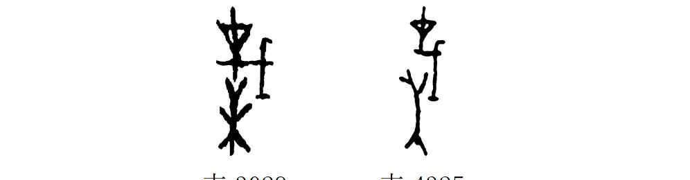 甲骨文识字一一栽、树