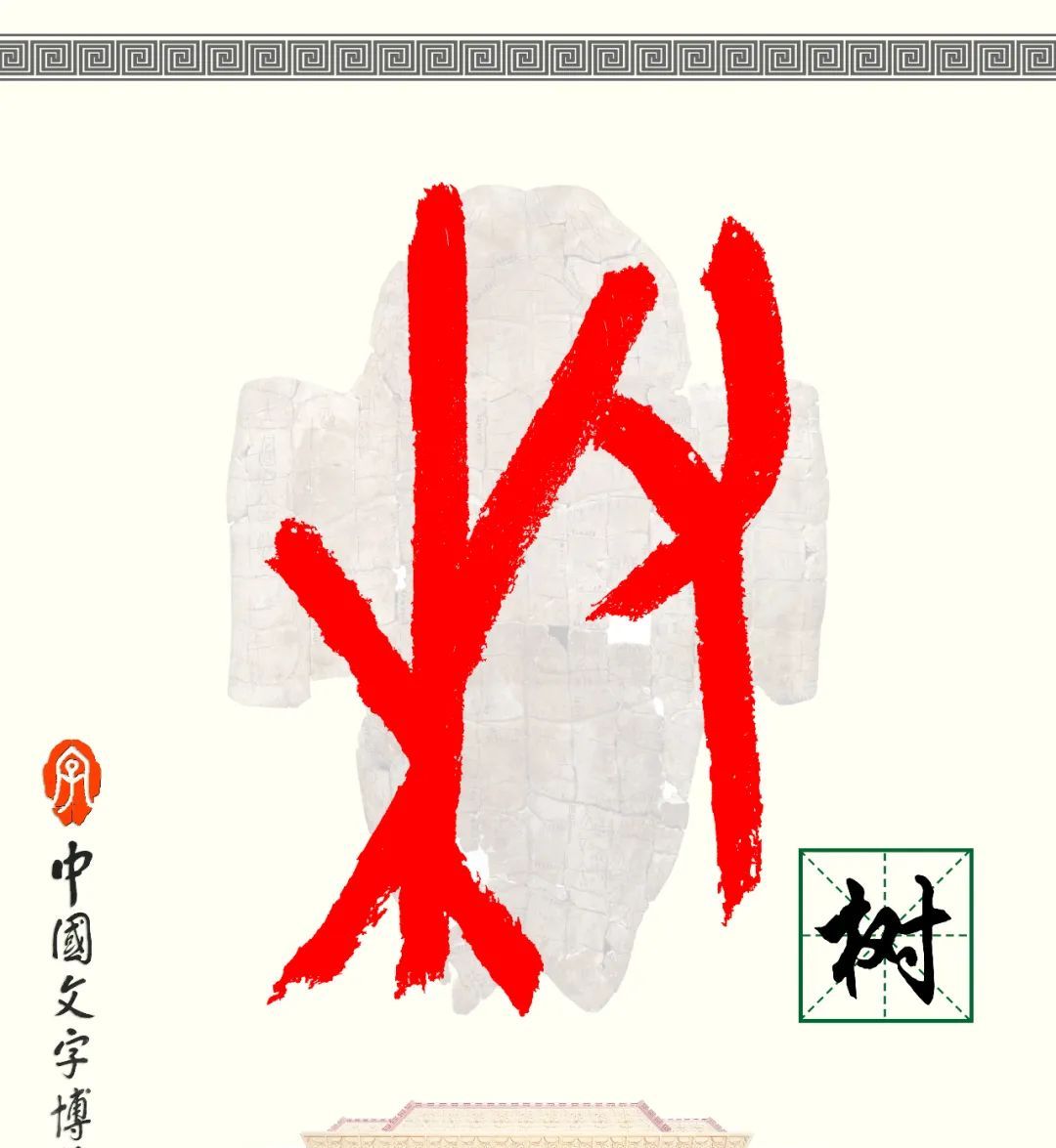 甲骨文识字一一栽、树