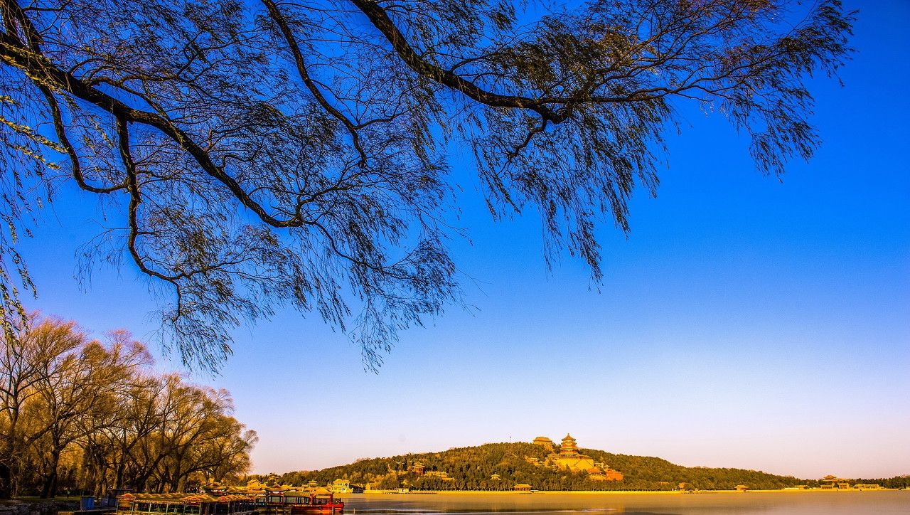 “主谓一致”我学习了无数遍,还不如我看这个知识总结一遍 - 鹿快