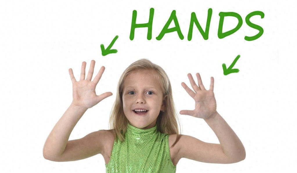 外研社七年级上册Unit1-4知识点总结 - 鹿快