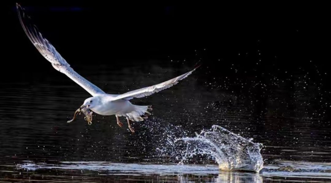 最高级的“报复”，是让他永久失去访问权限？