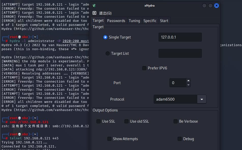 字典制作、在线密码破解