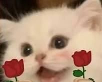 粉丝强烈推荐:MinerU——将PDF转化为机器可读格式的神器