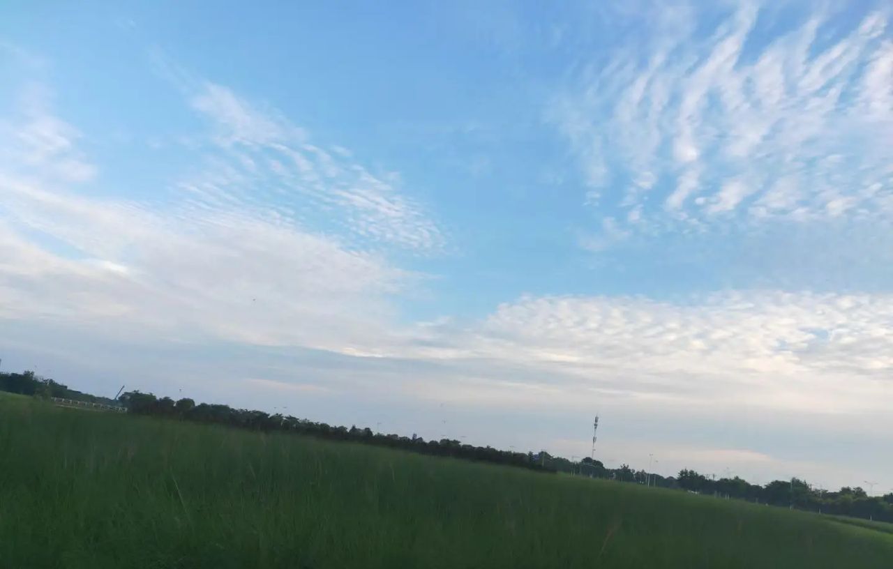 #【沫·小贝成长的1000件小事M&Y】~我的育儿之路从来都不是我一个人的戏#109-115(补)